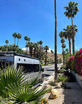 This RV rental camper van parked on a sunny, palm-lined street captures desert travel vibes, with mountains and vibrant flora.