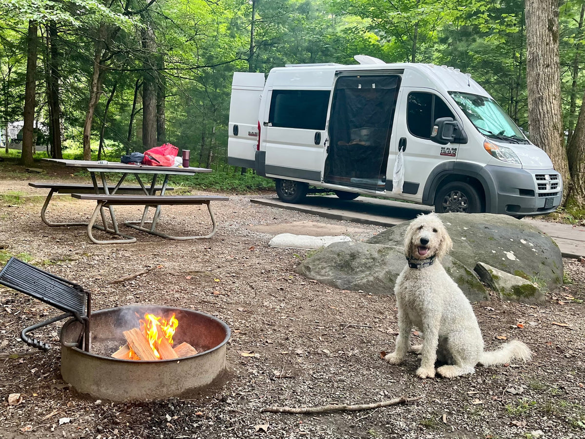 A fluffy white dog sits happily at a relaxing rv rental campsite with a white camper van