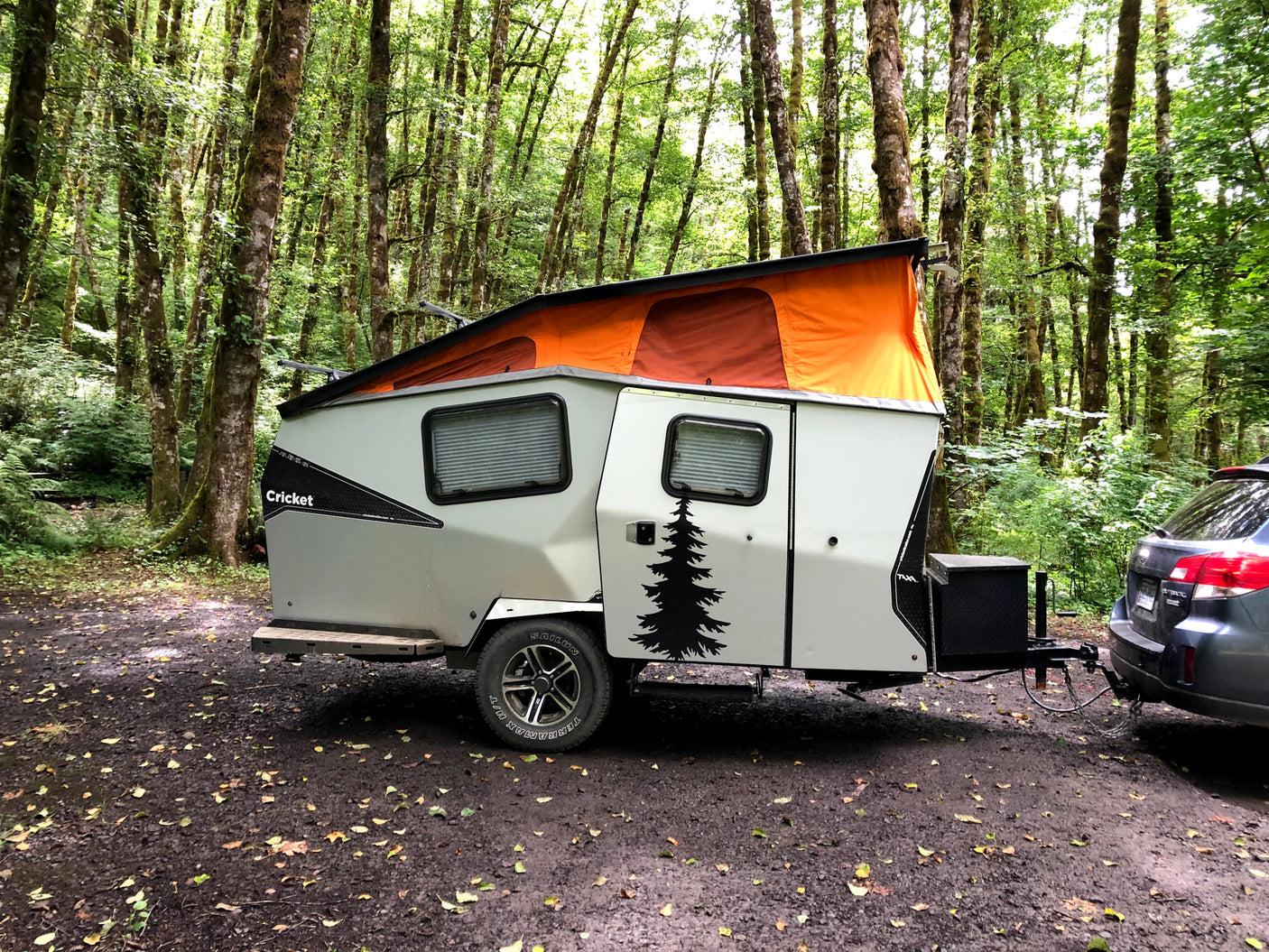 Cricket pop-up camper RV rental in a forest, hitched to a Subaru Outback. Ready for adventure.