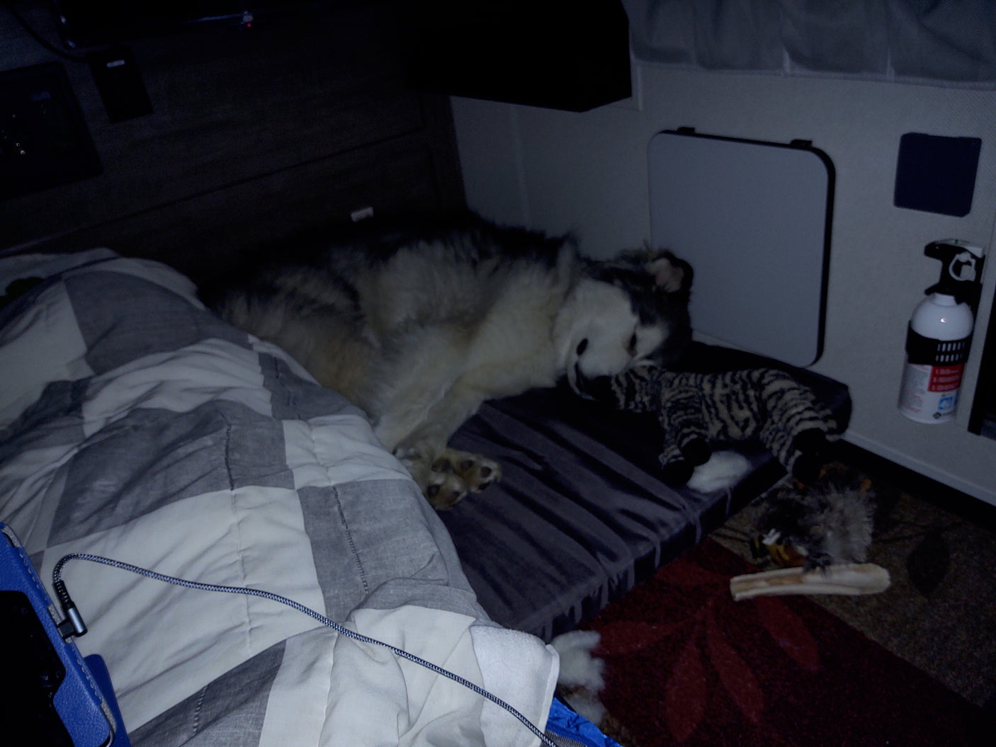 A fluffy dog peacefully sleeps on a bed in an RV rental, with a stuffed toy and fire extinguisher visible.