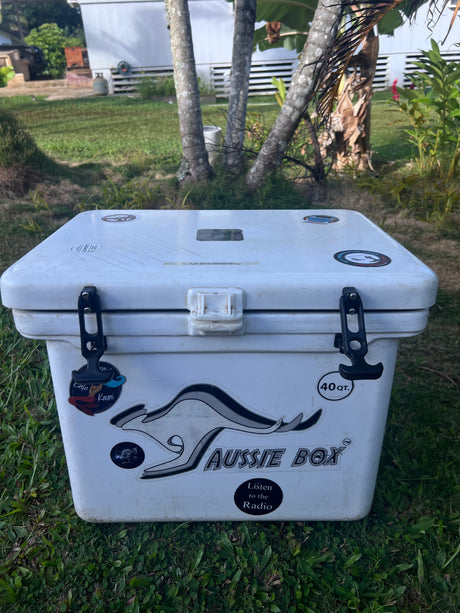 White 40 QT 'Aussie Box' cooler on grass, perfect for your RV rental outdoor adventure.