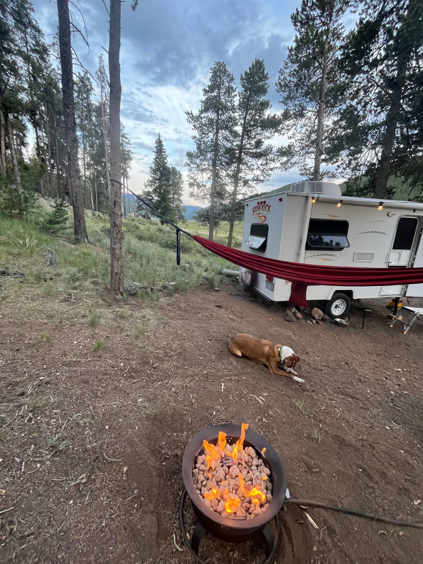 Cozy outdoor RV rental campsite with a warm fire pit, relaxing hammock, and a dog enjoying nature.