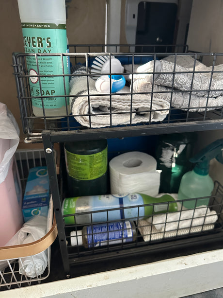 RV rental: Essential cleaning supplies like Mrs. Meyer's soap, scrub brush, and towels in organized cabinet storage.