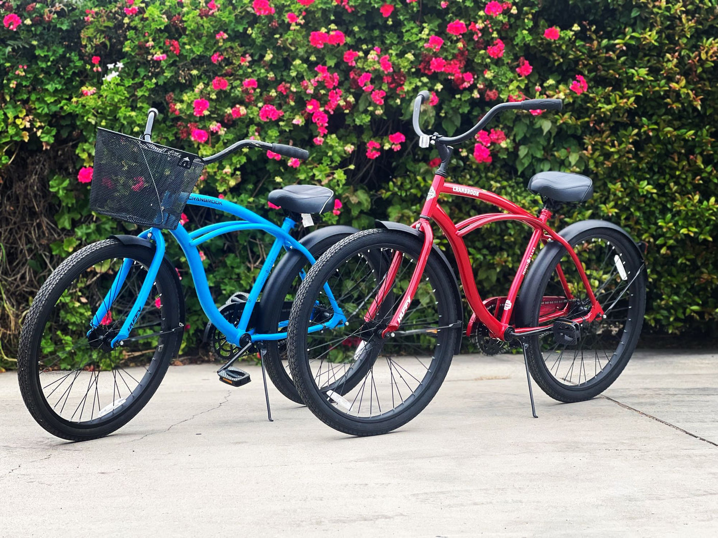 Blue and red cruiser bikes offer fun rides on your RV rental adventure. Parked against a flowery hedge.