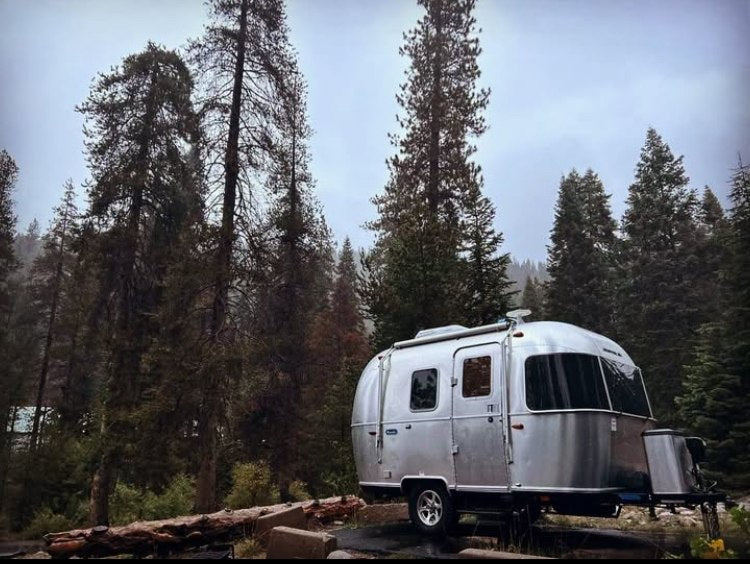A sleek silver Airstream RV rental parked among tall pine trees in a quiet forest setting