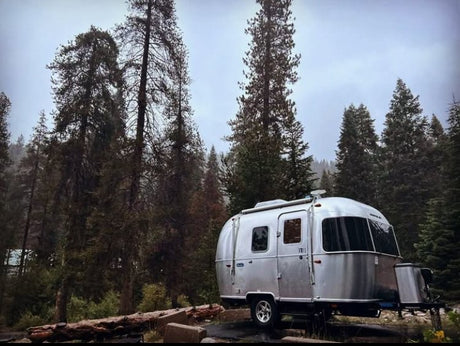 A sleek silver Airstream RV rental parked among tall pine trees in a quiet forest setting, perfect for a nature escape.