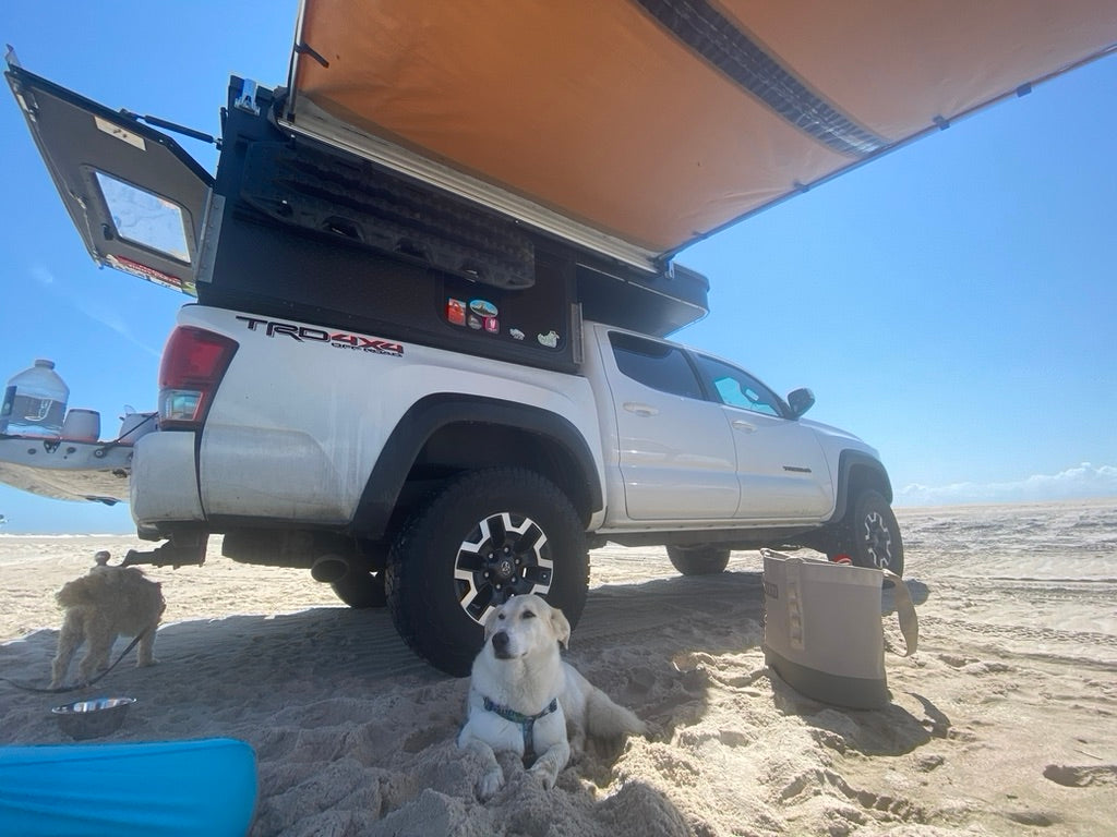 White truck camper set up with an awning on a sandy beach, two dogs, and a cooler. Perfect for an RV rental adventure.