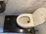 RV rental toilet with lid up, showing "no standing" symbol. Compact design on black base with drain and brush.