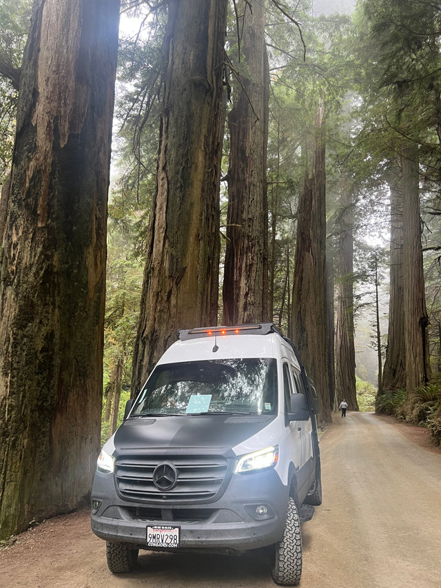 RV rental: Mercedes Sprinter van on a misty dirt road surrounded by giant redwood trees. A person is visible in the distance.