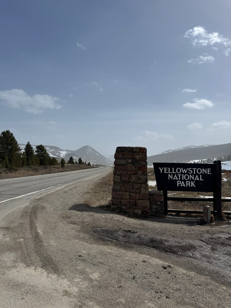 Yellowstone National Park entrance sign and road, with snowy mountains in the distance. Ideal for your next rv rental adventure. — photo 15