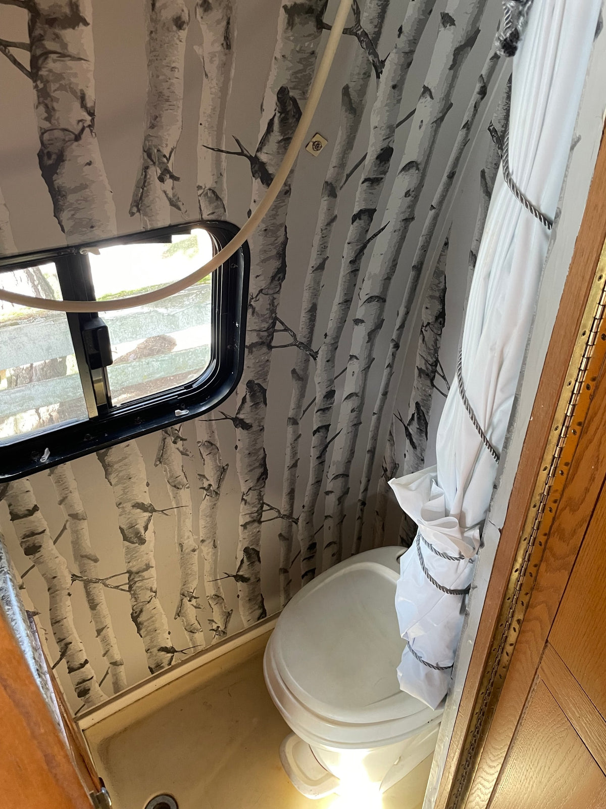 Inside an RV rental, a small bathroom features birch tree walls, a toilet, and a tied-back shower curtain. — photo 11