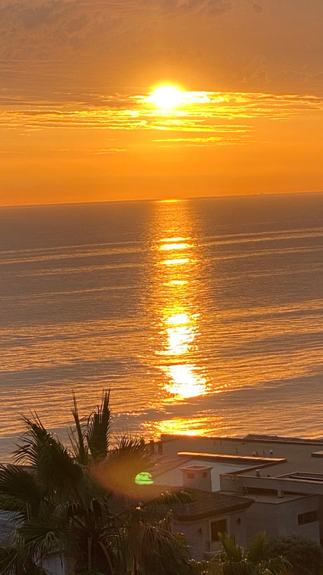 Golden sunset over ocean & coast, ideal for an RV rental vacation. Features palm trees, homes, and sun's path.