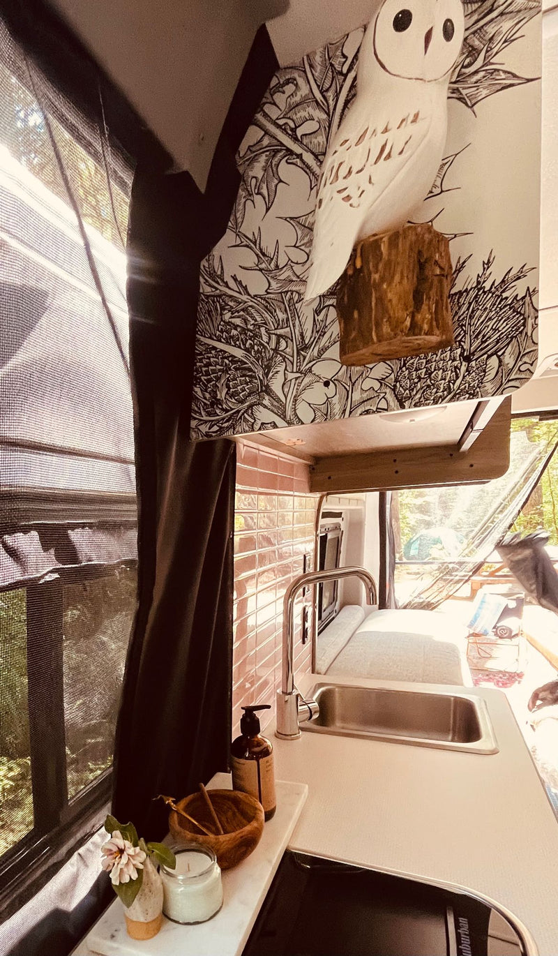  & Beeswax box. Essential gear for organized adventures.|View from inside an RV rental looking forward — photo 16