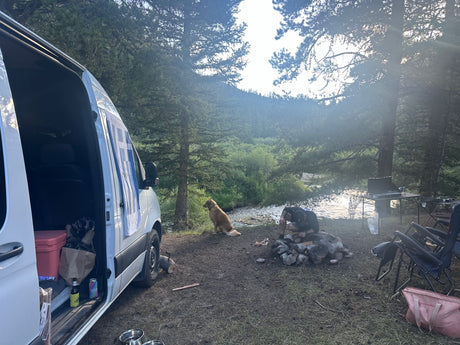 An RV rental brings adventure! Van, dog, & person setting up campfire by a serene river and forest.