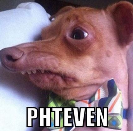Phteven, a light brown dog with a severe underbite and bowtie, eyes wide. Your RV rental awaits!