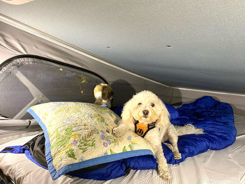 Class B - Winnebago Solis *Sleeps 2-5* (Near Phoenix Airport) — photo 4