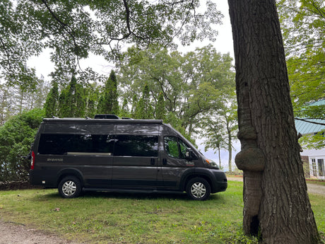 A dark grey camper van sits on green grass beside a large, gnarled tree. Explore nature with this RV rental.