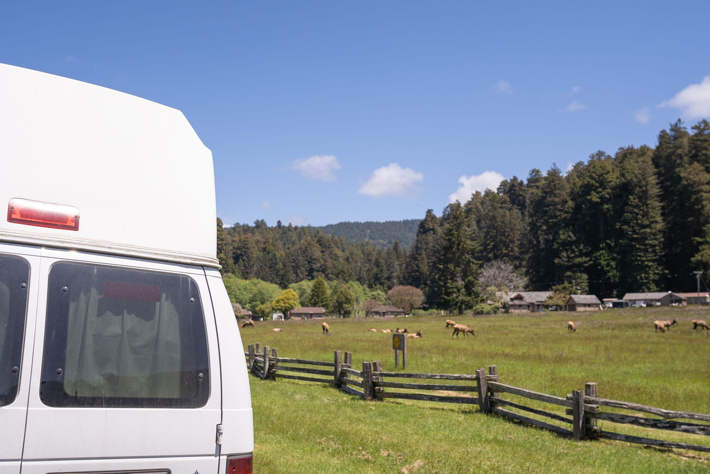 Scenic RV rental spot: white van, wooden fence, elk grazing in sunny meadow, backed by lush forests under blue sky.
