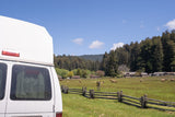 Scenic RV rental spot: white van, wooden fence, elk grazing in sunny meadow, backed by lush forests under blue sky.