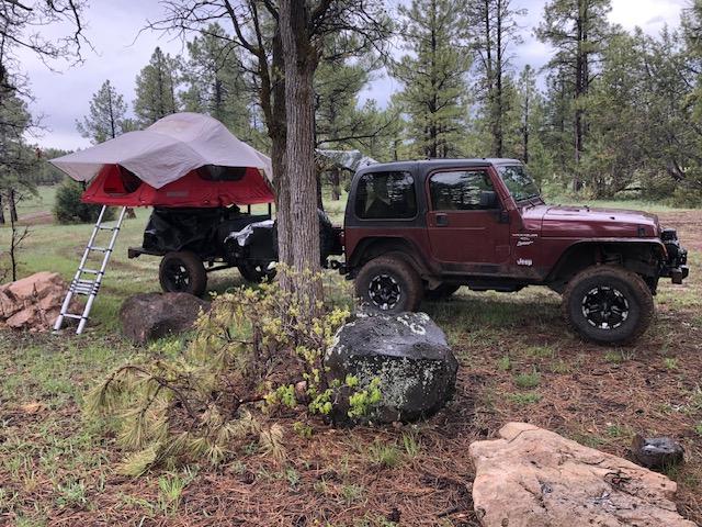 This camping trailer with a red rooftop tent & tarp is an excellent RV rental option for forest adventures.|This black off-road camping trailer with a tent frame is parked in a grassy forest. Great for your next RV rental adventure.|Red Yakima rooftop tent on a trailer — photo 8