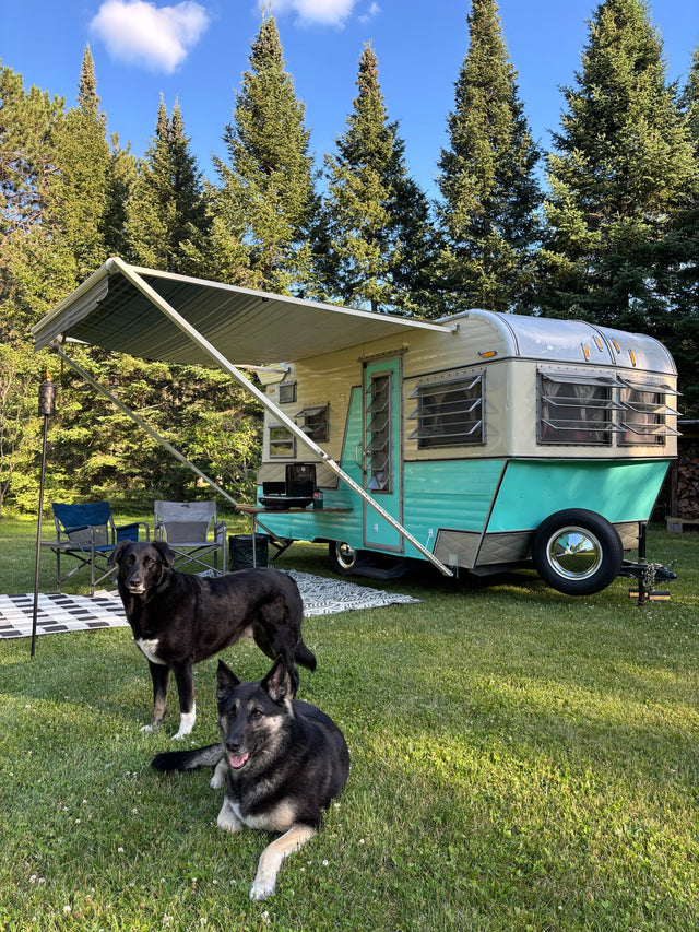 66’ Silver Eagle Retro — photo 2