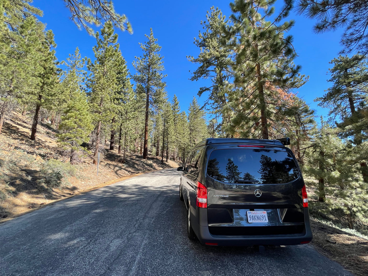 A black Mercedes Metris van on a winding road through a pine forest. Great for an RV rental road trip.