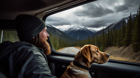 Enjoying an RV rental adventure! A bearded man & golden retriever gaze at snow-capped mountains on a scenic road trip.