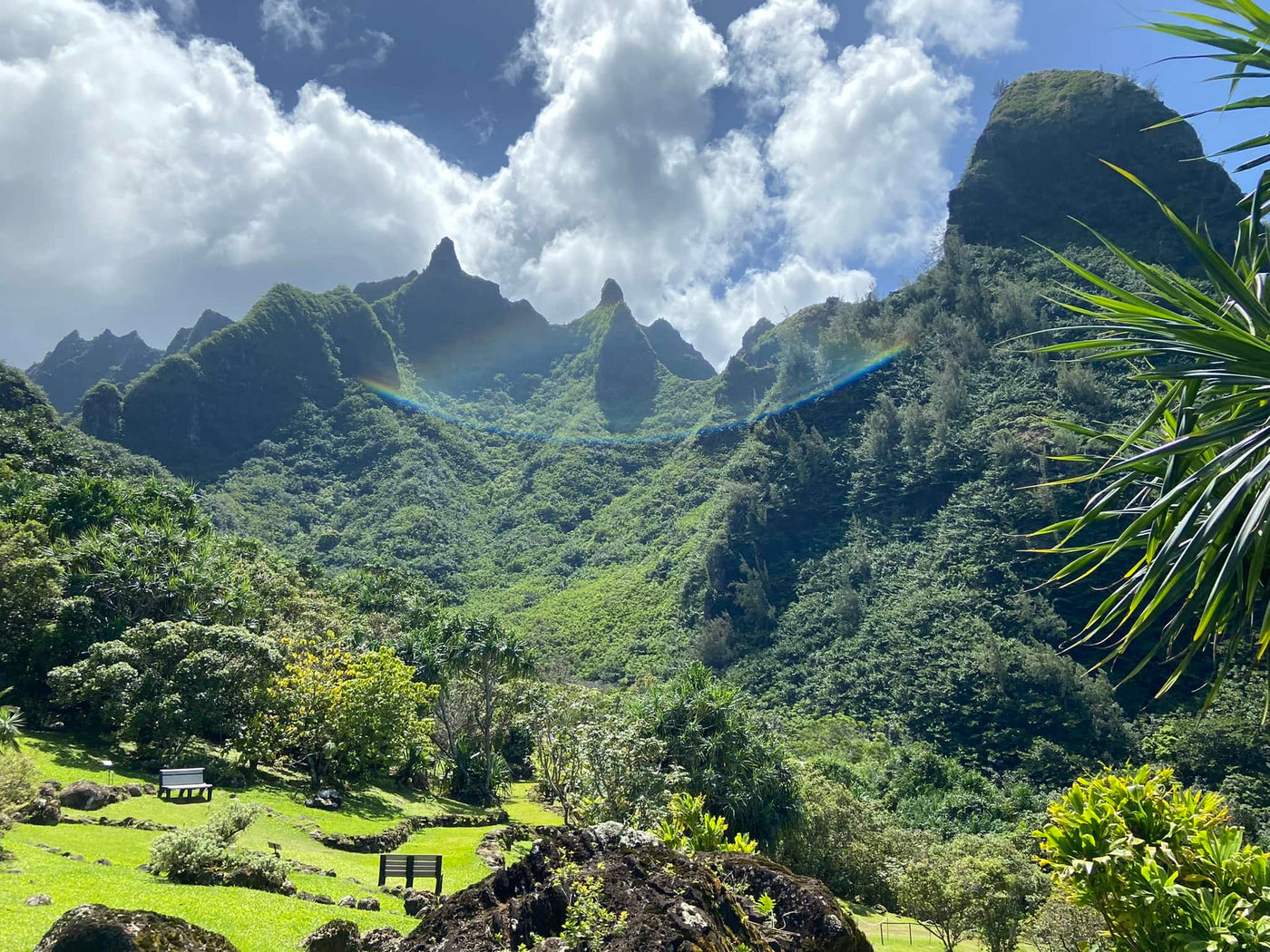 Explore lush green mountains & a vibrant garden, complete with a rainbow! Perfect for an RV rental adventure. — photo 19
