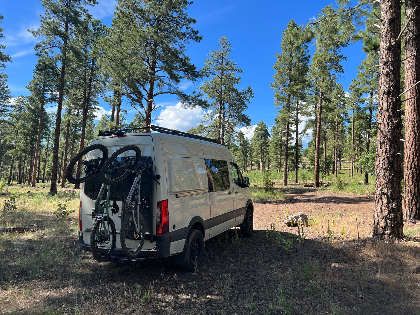 White RV rental van, bikes on back, parked in a sunlit pine forest. Perfect adventure trip.