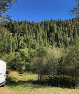 Find adventure with an RV rental! A white camper van is parked near a dense forest covering a mountain under a clear sky.