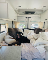 Inside a comfy RV rental: A black and tan dog relaxes on a bed surrounded by pillows, showing a cozy travel space.