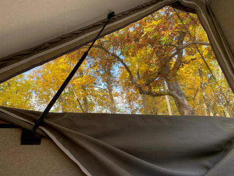 View from an RV rental: vibrant autumn trees through a pop-up camper's screened window, framed by light fabric and a support strut.