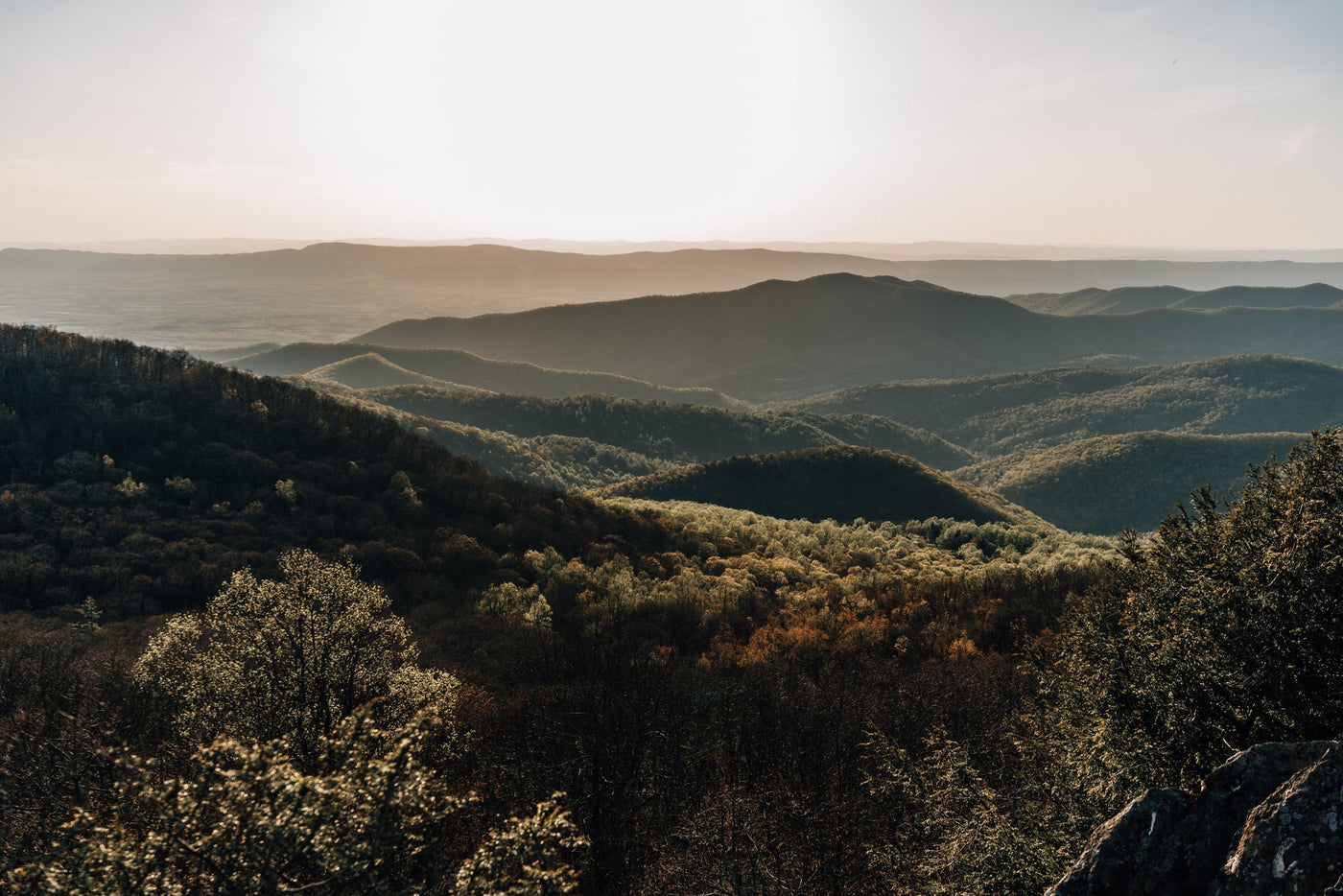 Hazy mountain ranges fading into the distance, with sunlit trees in the foreground. Perfect for an RV rental trip! — photo 20