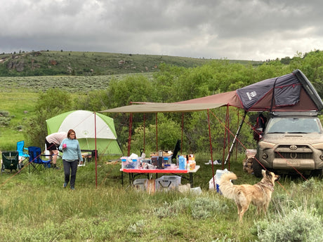 Enjoy an RV rental camping trip! An SUV with a roof-top tent, ground tent, gear, and a dog in a green, natural setting.