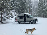 A gray camper van (RV rental) with a bike is nestled in a snowy forest during a blizzard, a dog nearby.