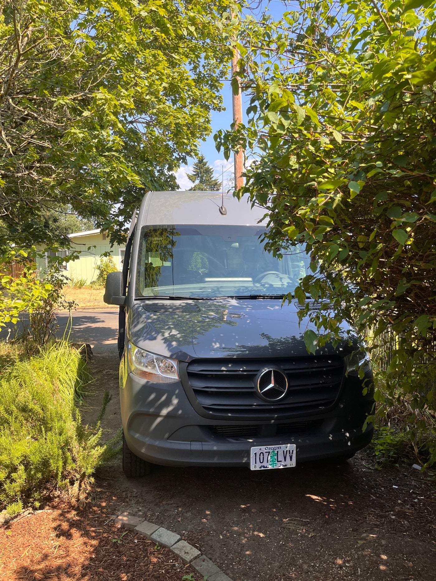 A gray Mercedes-Benz Sprinter van, likely an RV rental, is parked on a dirt driveway amidst green foliage under a clear sky. — photo 7