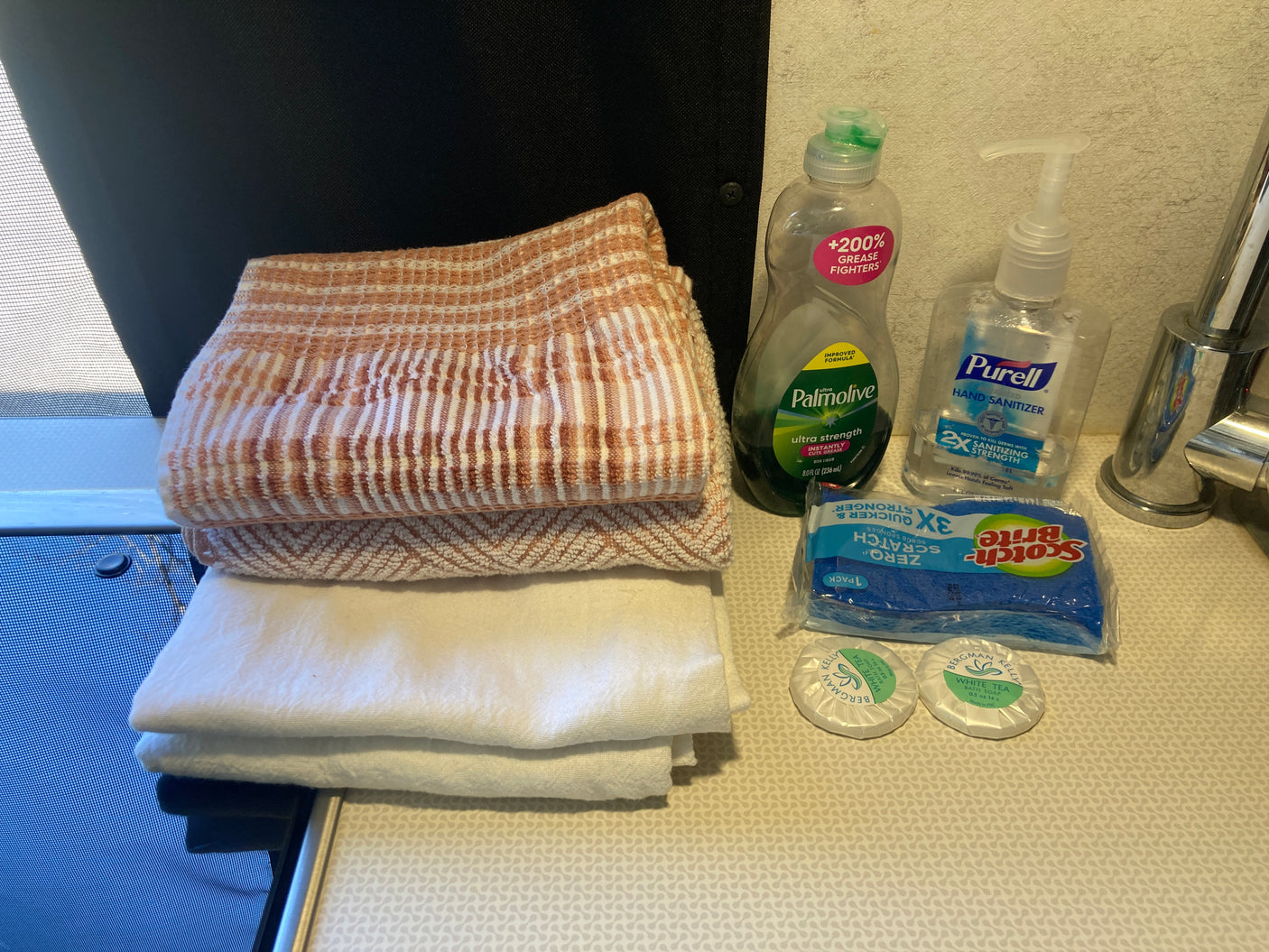 RV rental kitchen and bath essentials: towels, Palmolive soap, Purell, Scotch-Brite sponges, and Bergman Kelly soaps.