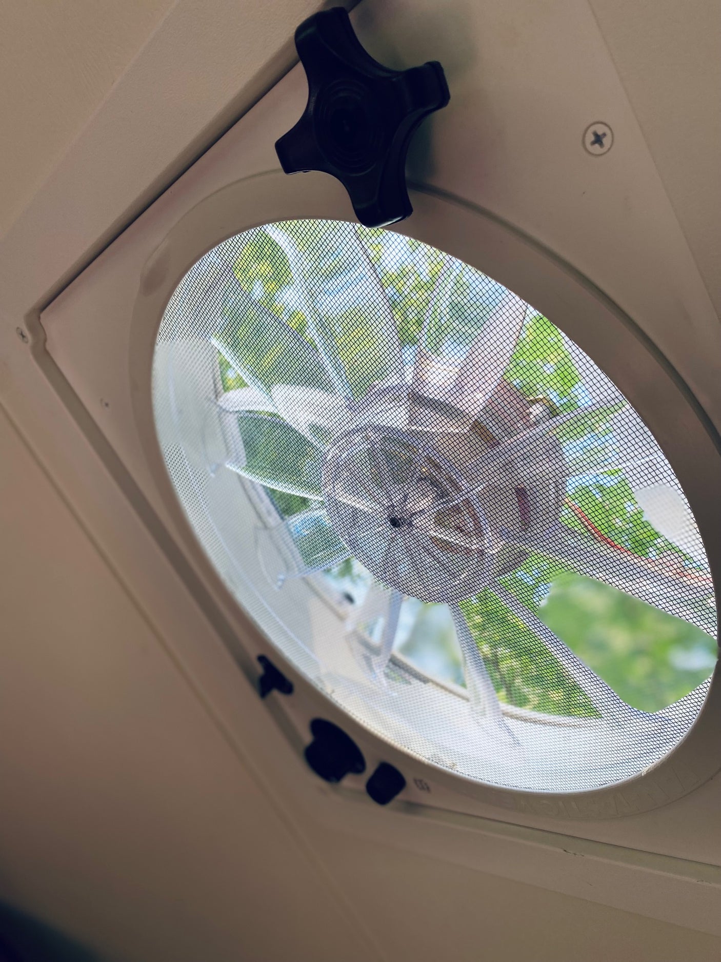 RV rental overhead fan/vent with screen, showing outdoor trees and sky for fresh air circulation.