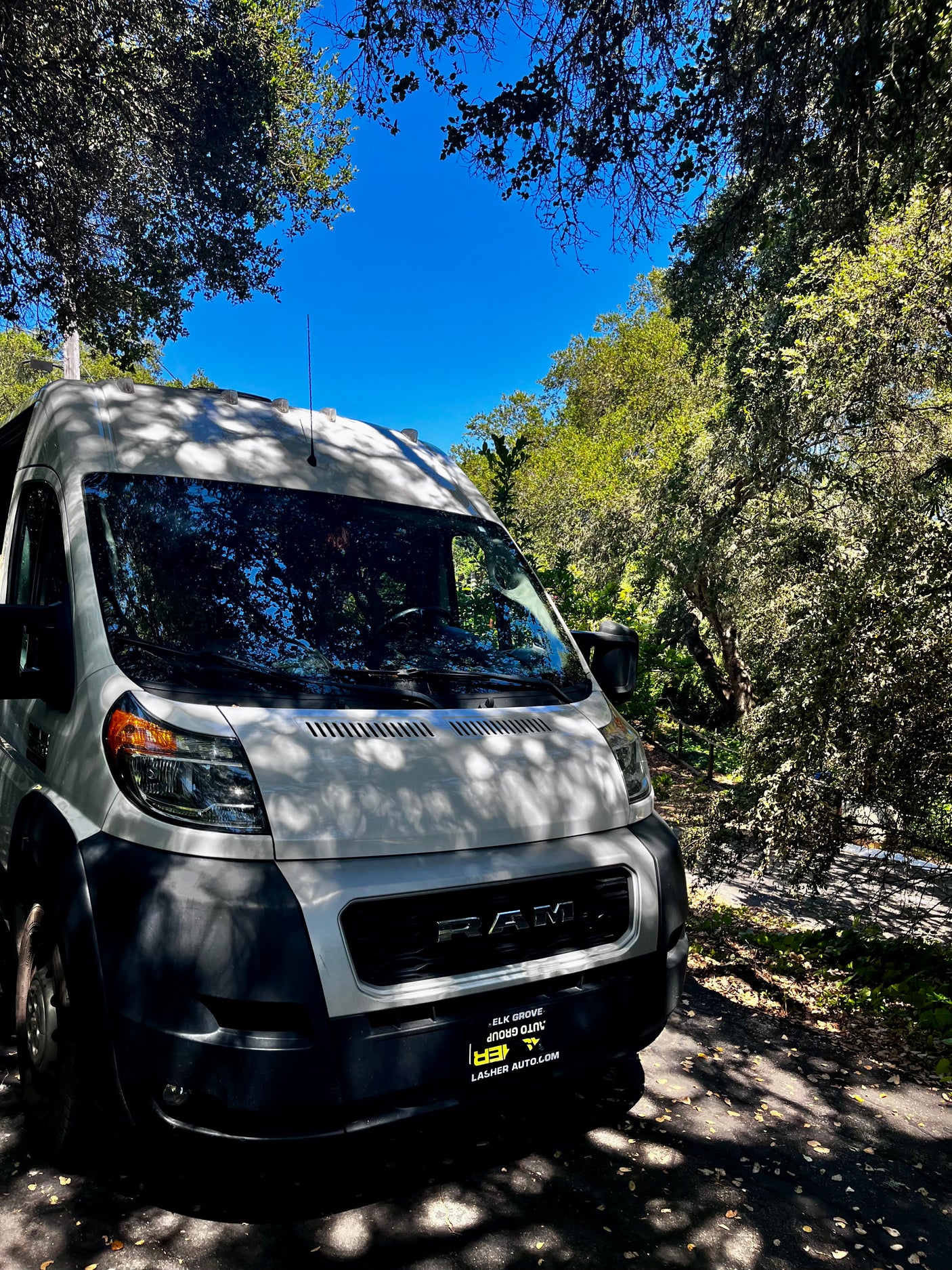 White Ram ProMaster van, ideal for rv rental adventures, parked under shaded trees.