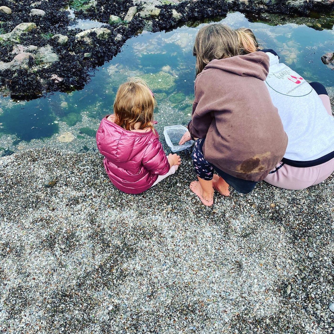Three children are exploring a clear tide pool on a pebble beach. What a fun outdoor activity, perfect after an RV rental journey! — photo 10