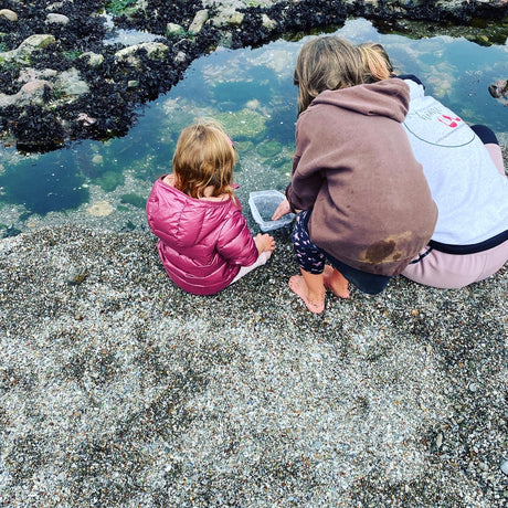 Three children are exploring a clear tide pool on a pebble beach. What a fun outdoor activity, perfect after an RV rental journey!