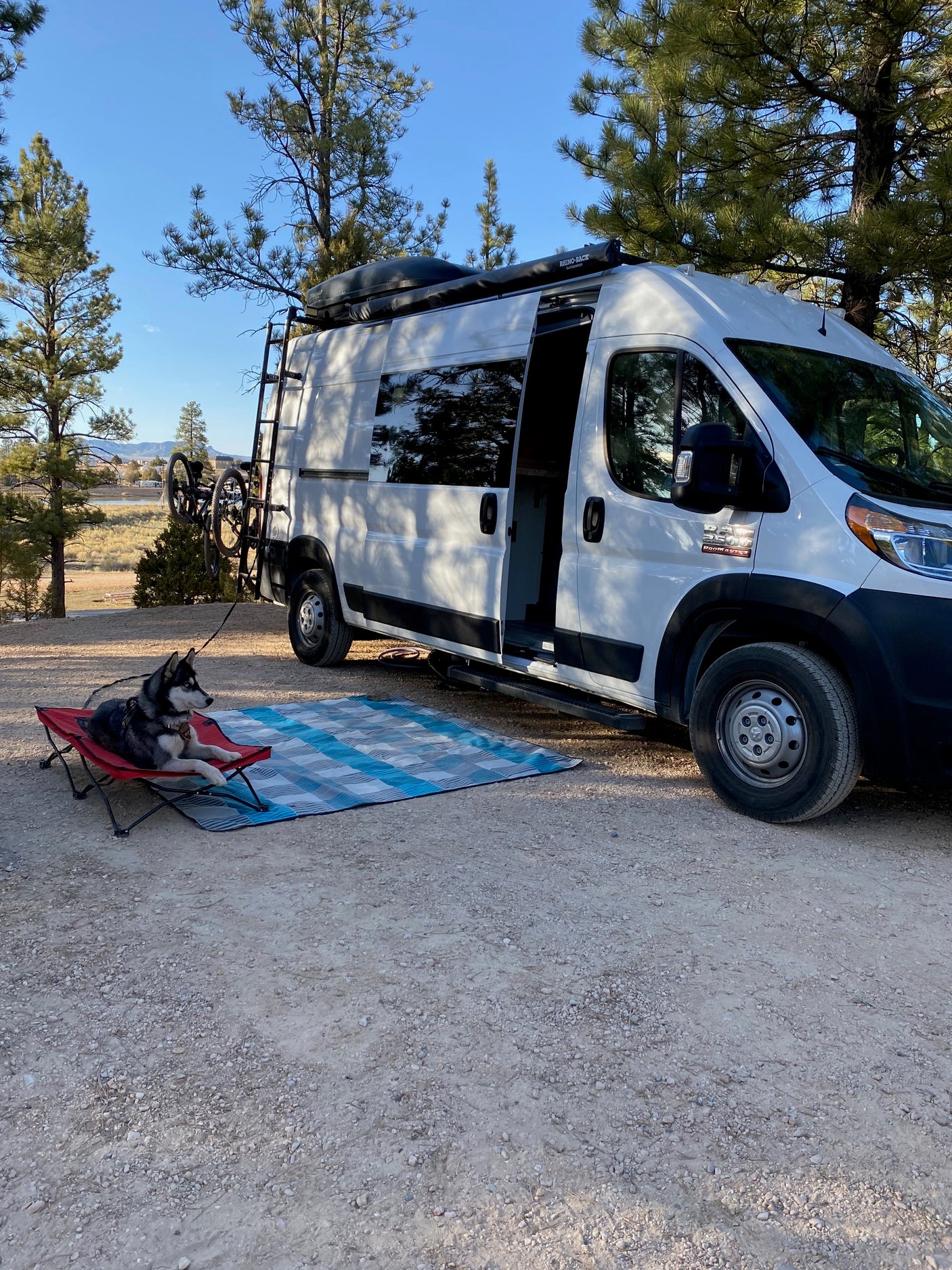 RV rental adventure: White camper van, husky in chair, bikes, and pine trees at a sunny outdoor campsite.