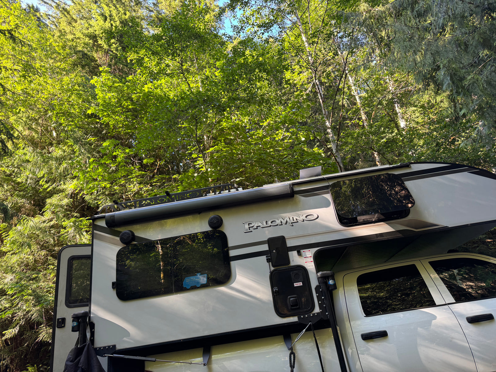 A white Palomino truck camper, great for an RV rental, set against a backdrop of bright green forest foliage.