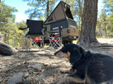 A dog relaxes at a scenic campsite with a Jeep Gladiator and rooftop tent, a great setup for an rv rental.