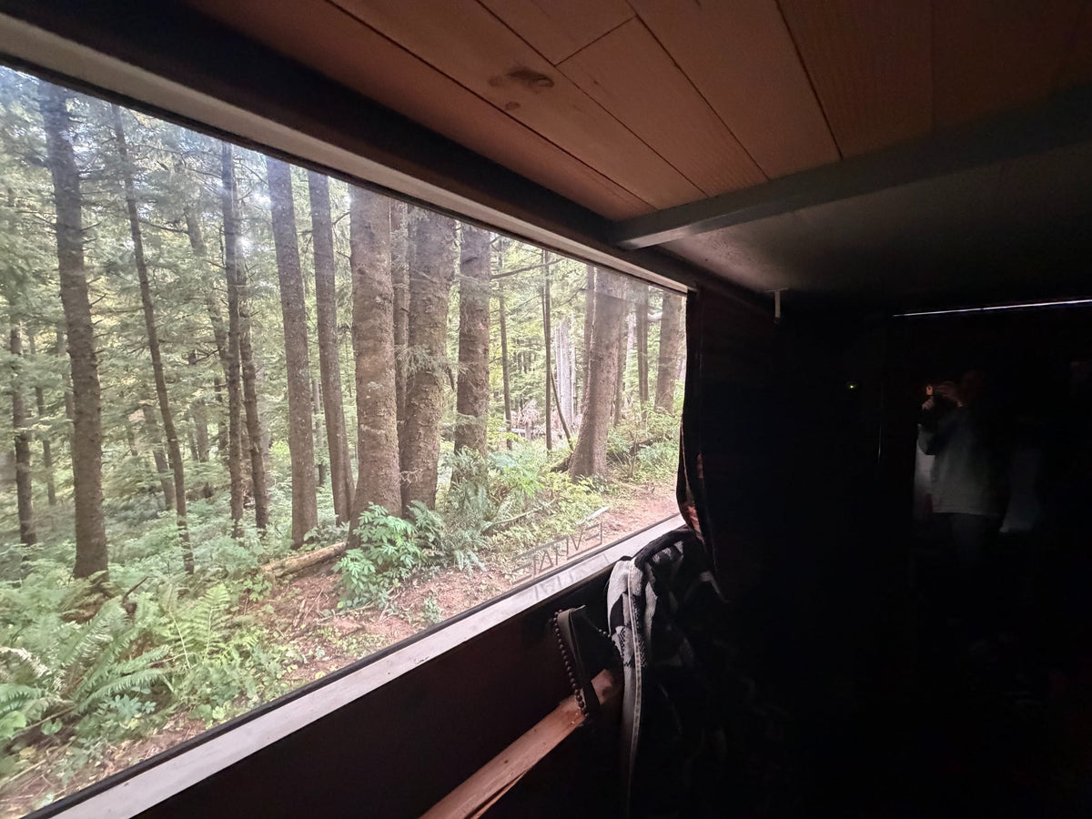 ideal for an RV rental adventure in nature.|A vibrant forest seen through a large window — photo 2