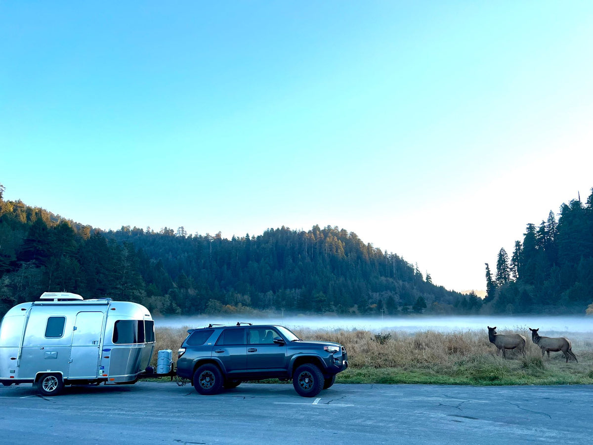 “Luna” Airstream Bambi Sport — photo 4