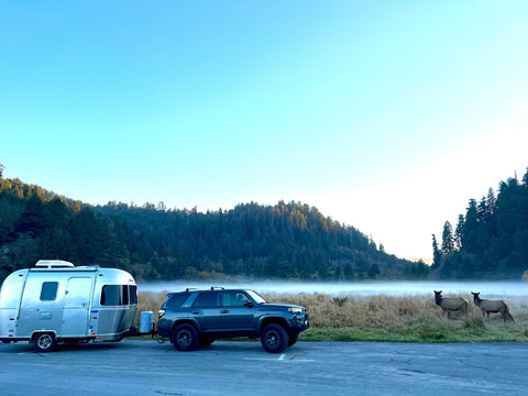 “Luna” Airstream Bambi Sport — photo 4