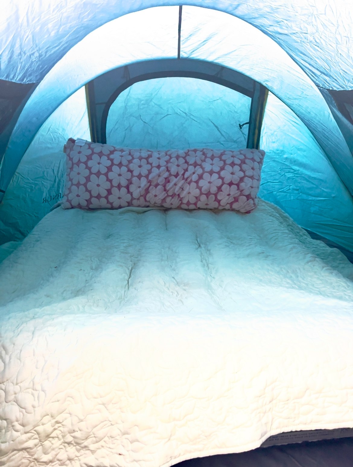 Cozy sleeping space inside an RV rental: A soft white bed with a pink floral pillow in a brightly lit blue interior.