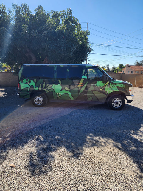 Rain Forest overland rental