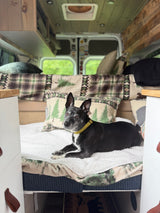Relaxing van life: Black & white dog in a pet-friendly RV rental, with cozy rustic interiors and green views.